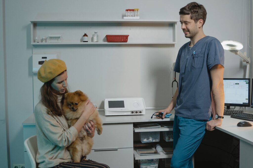 Veterinarian using ultrasound or diagnostic equipment on animal patient