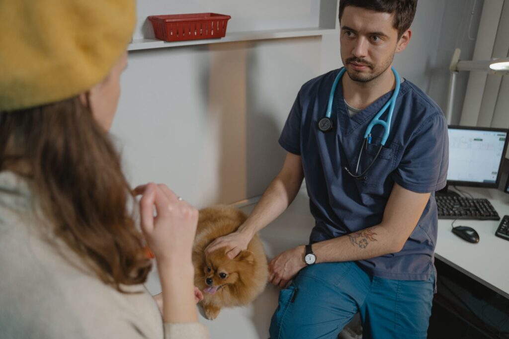 Veterinarian and assistant examining a cat in a consultation room